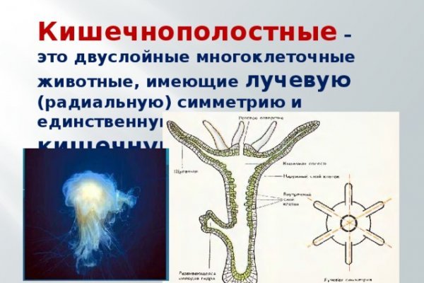 Кракен шоп ссылки